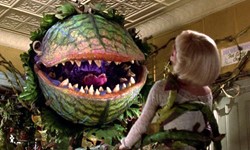 AS Films Presents: Little Shop of Horrors on Fall Family Weekend