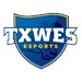 TXWES Esports & Gaming Profile Picture