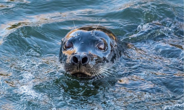 Valentine's Day Beach Cleanup