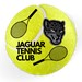 Texas A&M-San Antonio Tennis Club Profile Picture