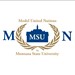 Model United Nations Club at Montana State University Profile Picture