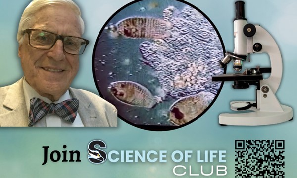 Brian J Ford Microscopy