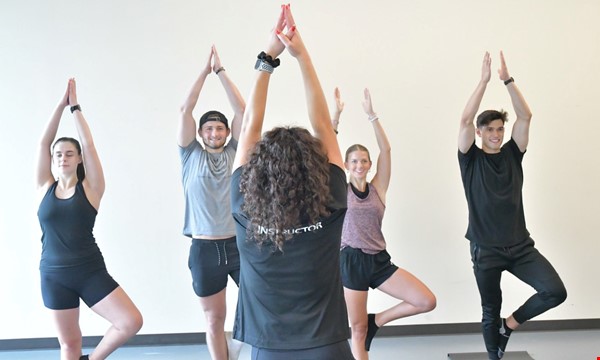 Vinyasa Yoga - OwlFit Group Fitness