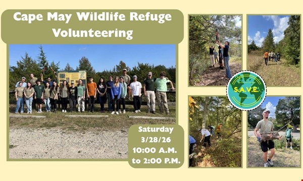 Cape May National Wildlife Refuge Volunteering II