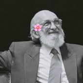 Critical Pedagogies Collective 