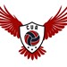 CUA Volleyball Club Profile Picture