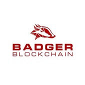 badgr blockchain