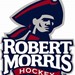 Men's Division 1 ACHA Ice Hockey Profile Picture