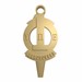 Upsilon Pi Epsilon Honorary Society Profile Picture