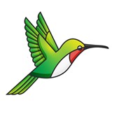Latin American Programs