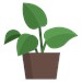 App State University Greenhouse Club Profile Picture