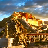 Tibetan Studies Student Association