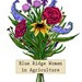 Blue Ridge Women in Agriculture and Food Hub Profile Picture