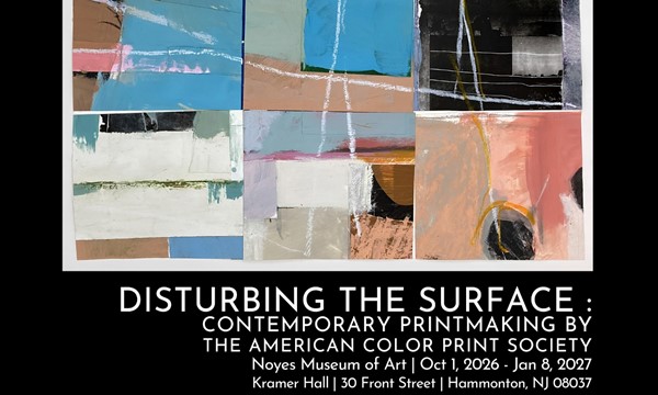 Opening reception for “Disturbing the Surface”