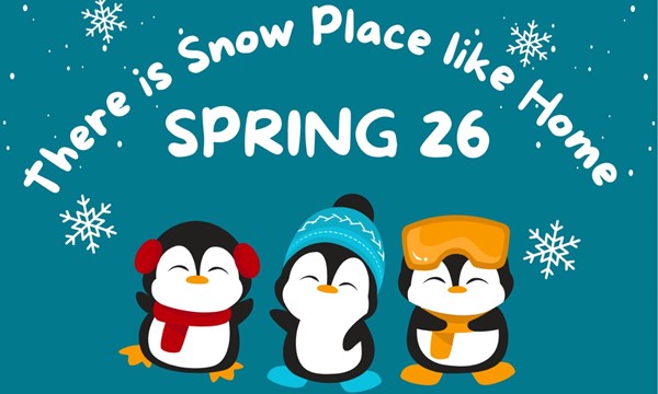 Frosty Cookie Decorating 