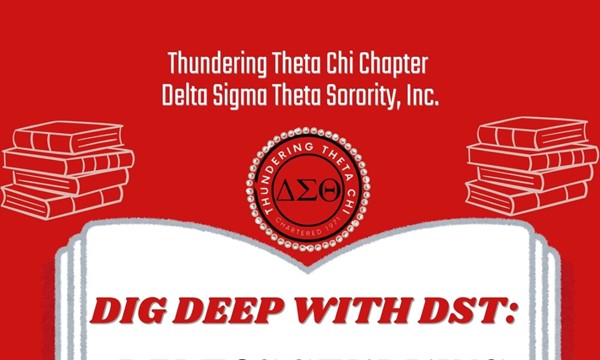 Dig Deep with DST: Deltas Studying for Success