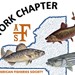 American Fisheries Society  Profile Picture