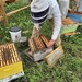 Beekeeping Club Profile Picture