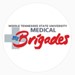 Global Medical Brigades Profile Picture