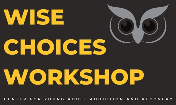 Wise Choices Workshop