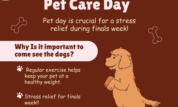 Pet Therapy