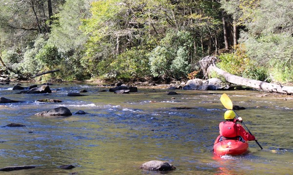 Nature Bound Beginner Whitewater Kayaking