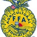Collegiate FFA Profile Picture