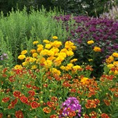 Horticultural Sciences Students Association