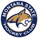 Montana State University Men's Ice Hockey Club Profile Picture