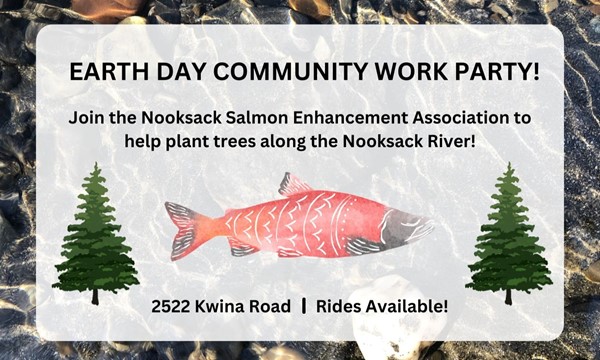 Save the Fish, Man: Nooksack Salmon Enhancement Association Earth Day Work Party