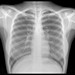Radiology Club Profile Picture