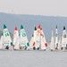 UT Sailing Team Profile Picture