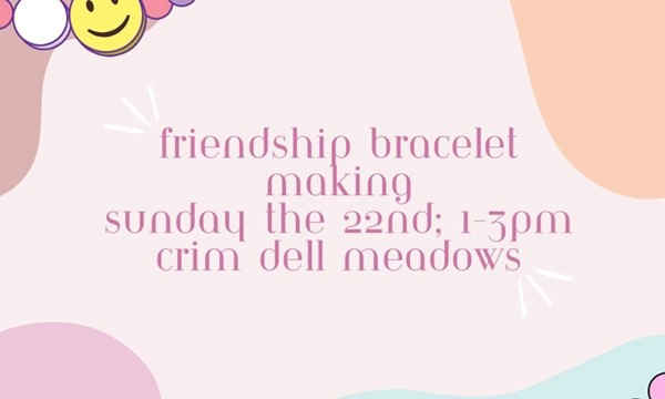 Friendship Bracelet Making!!!