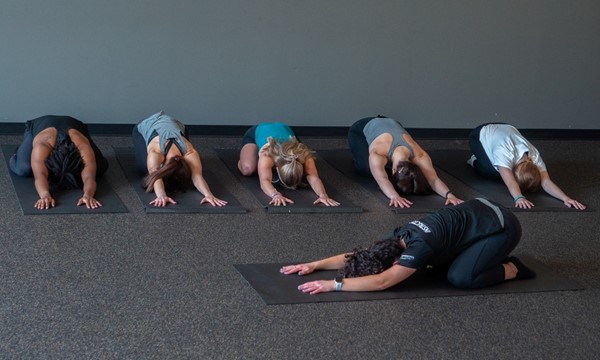 Yin Yoga - OwlFit Group Fitness