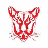 Coog Club Gymnastics Team