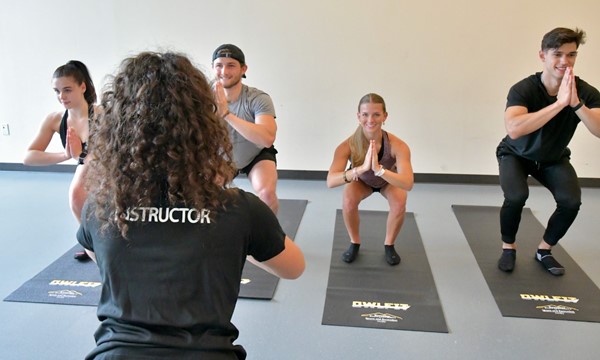 Yoga 101 - OwlFit Group Fitness