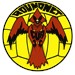 CUA Roundnet Profile Picture