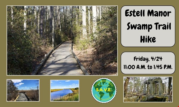 Estell Manor Park Swamp Trail Hike