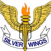 Silver Wings