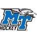 Middle Tennessee State University Ice Hockey Profile Picture