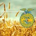 Collegiate FFA at MSU Profile Picture