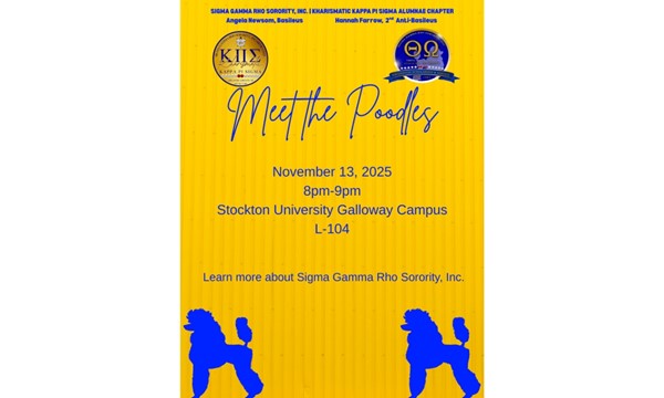 Meet the Poodles