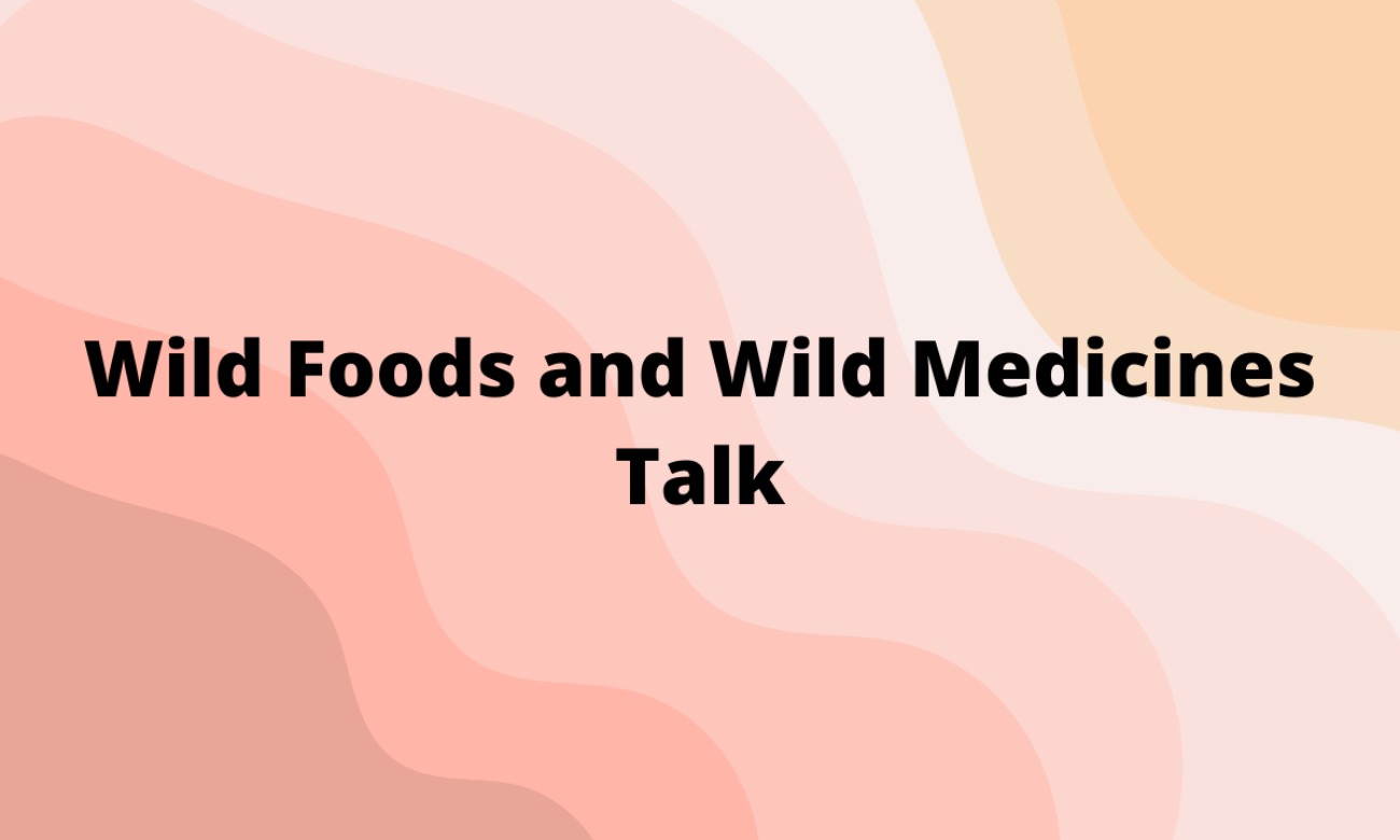 Wild Foods and Wild Medicines Talk starting at Jan. 29, 2022 at 4:00 am