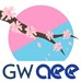 Association of Energy Engineers - GW Student Chapter Profile Picture