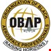 Organization of Black Aerospace Professionals Ascension Program Profile Picture