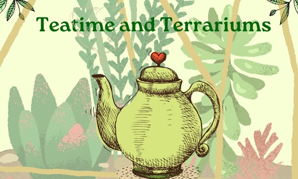 Teatime and Terrariums