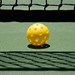 Pickle Ball Club of Montana State University Profile Picture