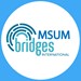 Bridges International Profile Picture