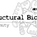 Structural Biology and Biophysics Club