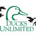 Ducks Unlimited Profile Picture